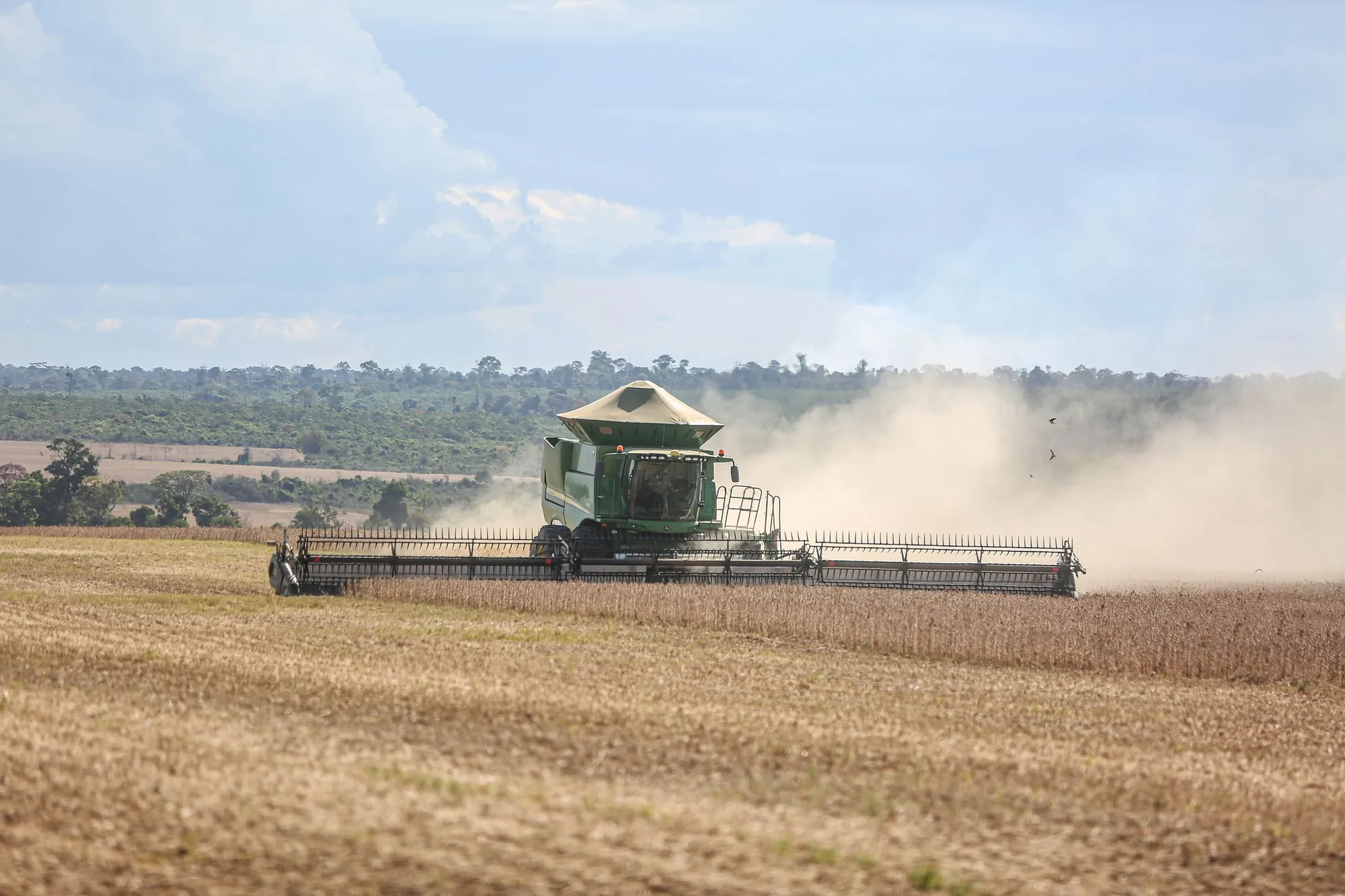 Soybean field in Brazil